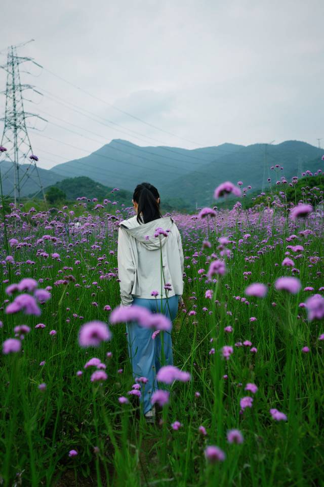 （已8人）周日下午西丽湖徒步